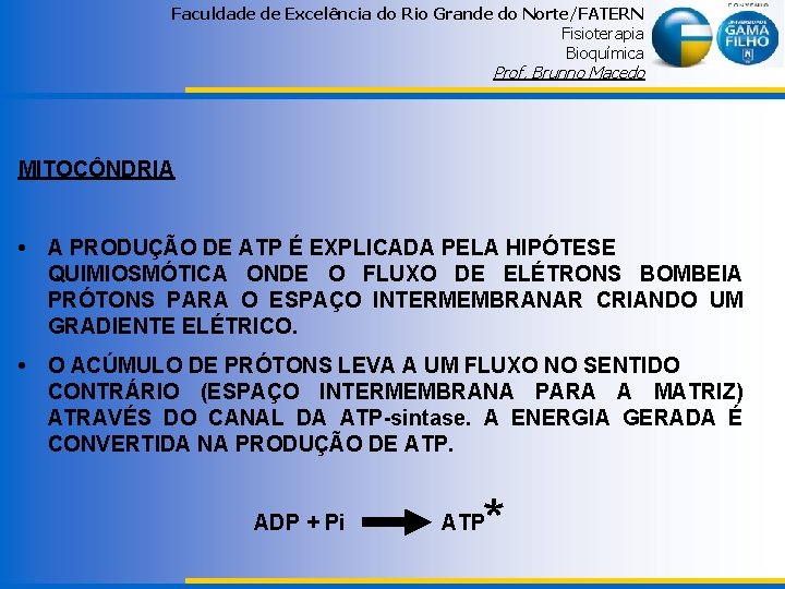 Faculdade de Excelência do Rio Grande do Norte/FATERN Fisioterapia Bioquímica Prof. Brunno Macedo MITOCÔNDRIA