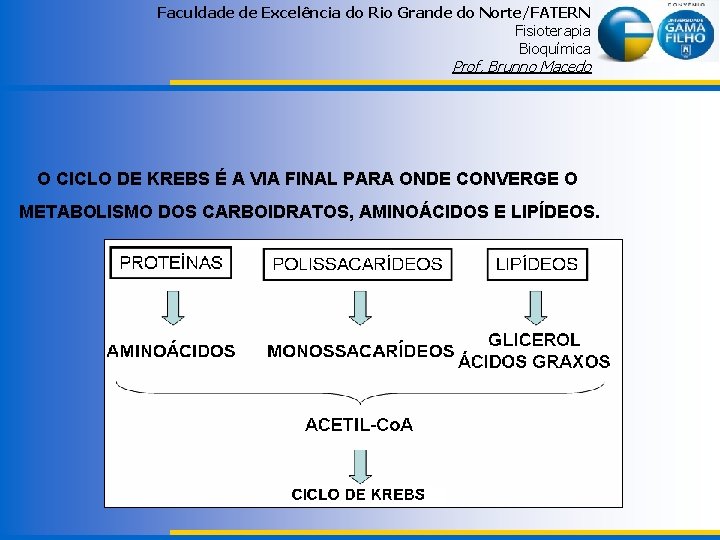 Faculdade de Excelência do Rio Grande do Norte/FATERN Fisioterapia Bioquímica Prof. Brunno Macedo O