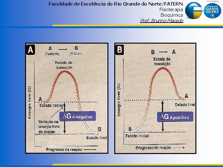 Faculdade de Excelência do Rio Grande do Norte/FATERN Fisioterapia Bioquímica Prof. Brunno Macedo 