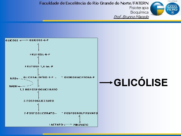 Faculdade de Excelência do Rio Grande do Norte/FATERN Fisioterapia Bioquímica Prof. Brunno Macedo GLICÓLISE