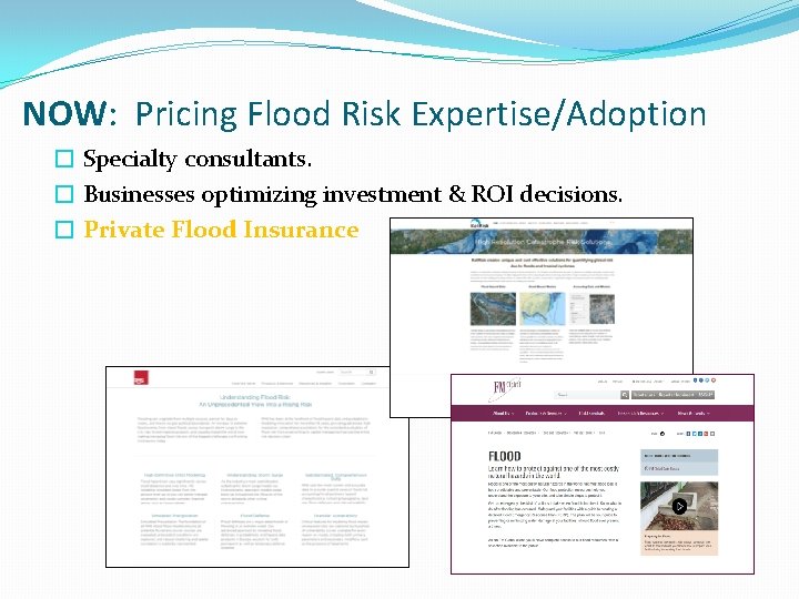 NOW: Pricing Flood Risk Expertise/Adoption � Specialty consultants. � Businesses optimizing investment & ROI