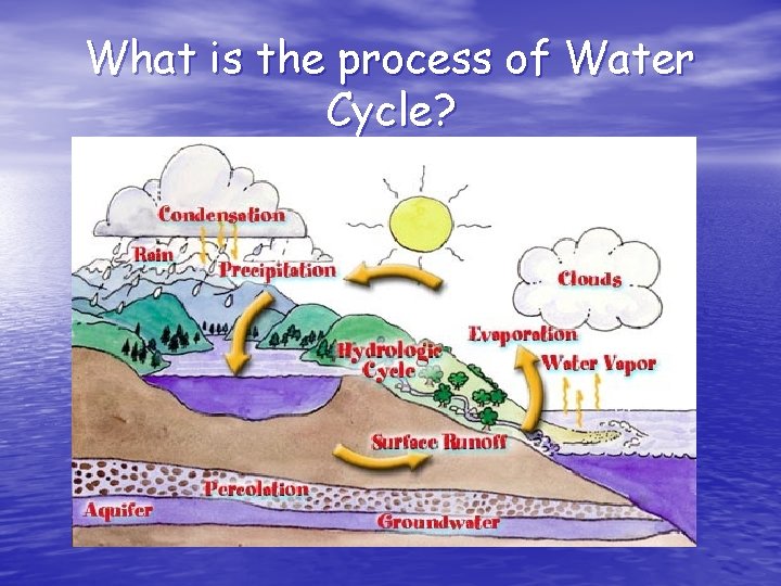 What is the process of Water Cycle? 