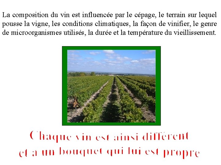 La composition du vin est influencée par le cépage, le terrain sur lequel pousse