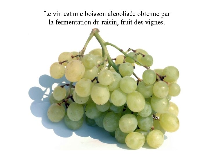 Le vin est une boisson alcoolisée obtenue par la fermentation du raisin, fruit des