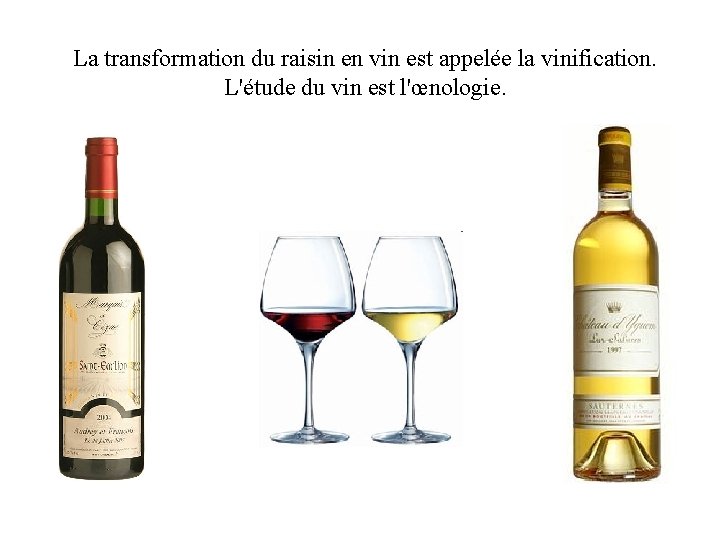 La transformation du raisin en vin est appelée la vinification. L'étude du vin est