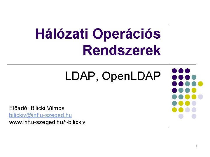 Hálózati Operációs Rendszerek LDAP, Open. LDAP Előadó: Bilicki Vilmos bilickiv@inf. u-szeged. hu www. inf.