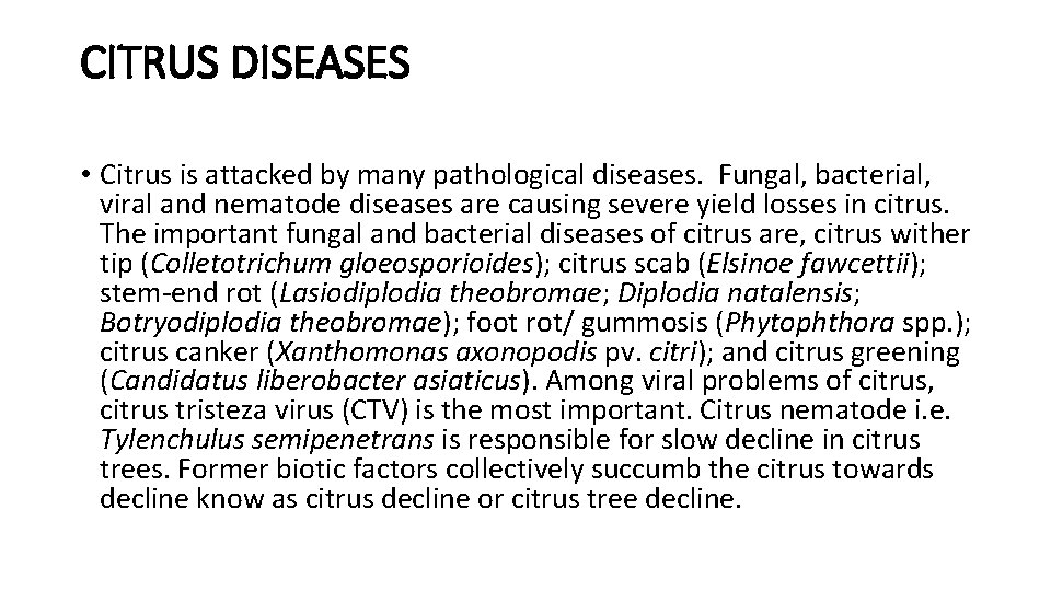CITRUS DISEASES • Citrus is attacked by many pathological diseases. Fungal, bacterial, viral and