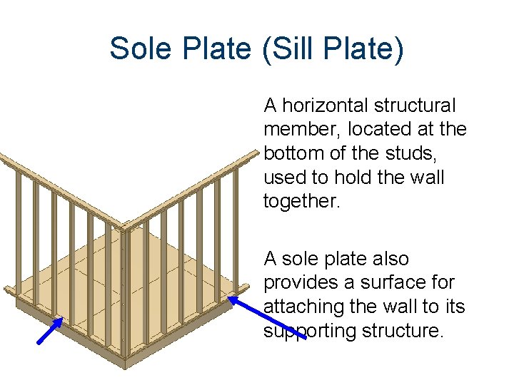 Sole Plate (Sill Plate) A horizontal structural member, located at the bottom of the