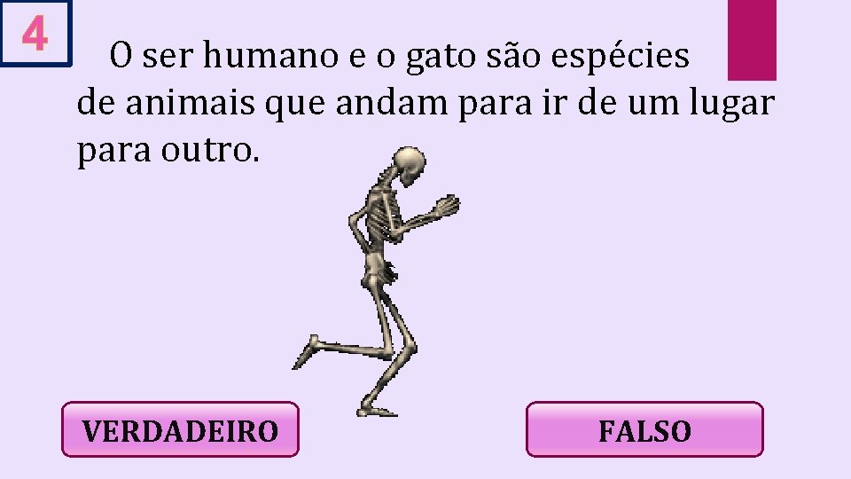 4 O ser humano e o gato são espécies de animais que andam para