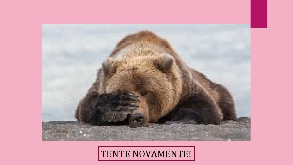 TENTE NOVAMENTE! 