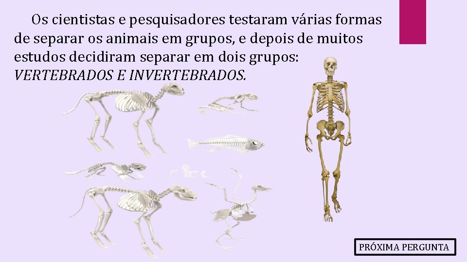Os cientistas e pesquisadores testaram várias formas de separar os animais em grupos, e