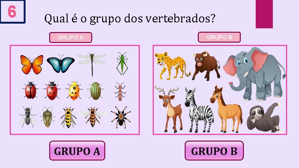 6 Qual é o grupo dos vertebrados? GRUPO A GRUPO B 