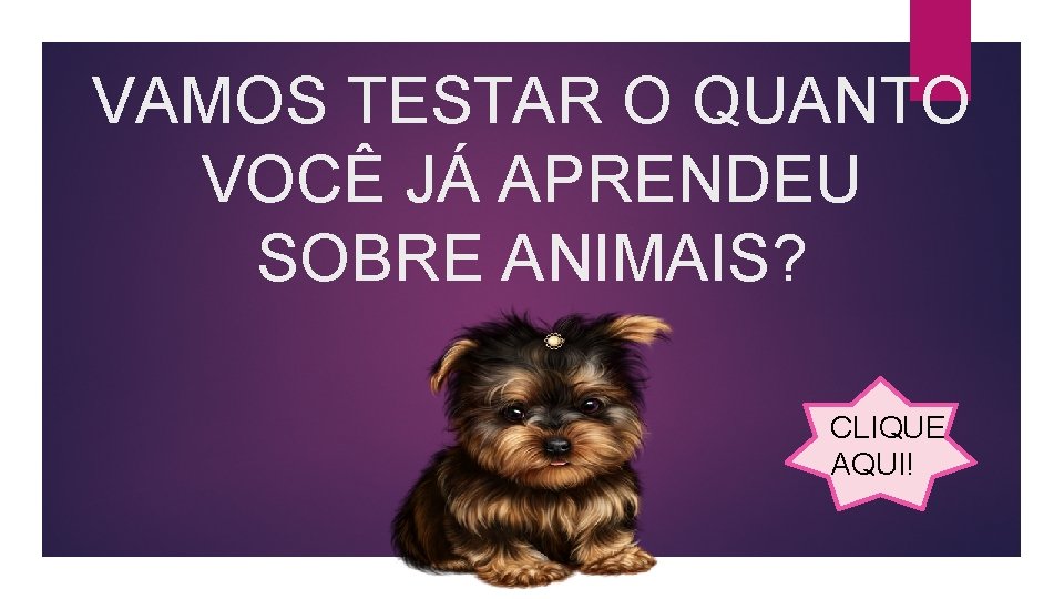 VAMOS TESTAR O QUANTO VOCÊ JÁ APRENDEU SOBRE ANIMAIS? CLIQUE AQUI! 