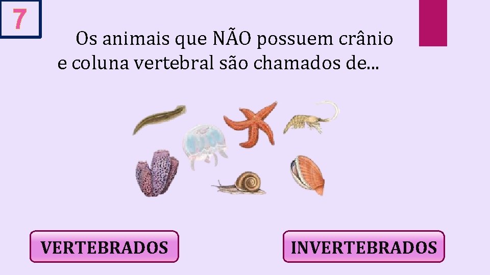 7 Os animais que NÃO possuem crânio e coluna vertebral são chamados de. .