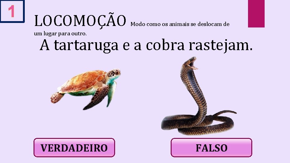 1 LOCOMOÇÃO A tartaruga e a cobra rastejam. Modo como os animais se deslocam