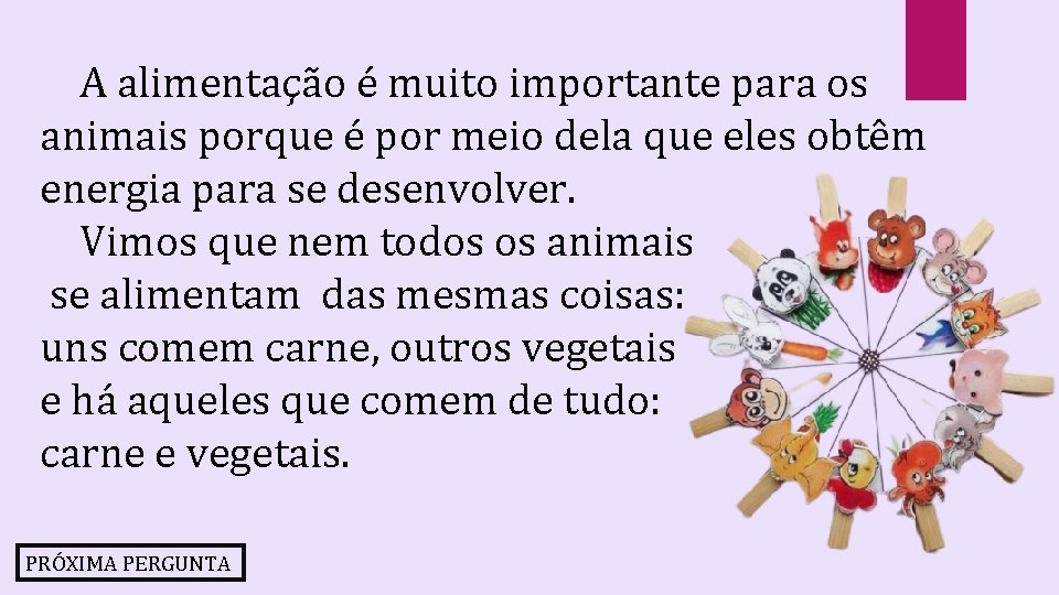 A alimentação é muito importante para os animais porque é por meio dela que