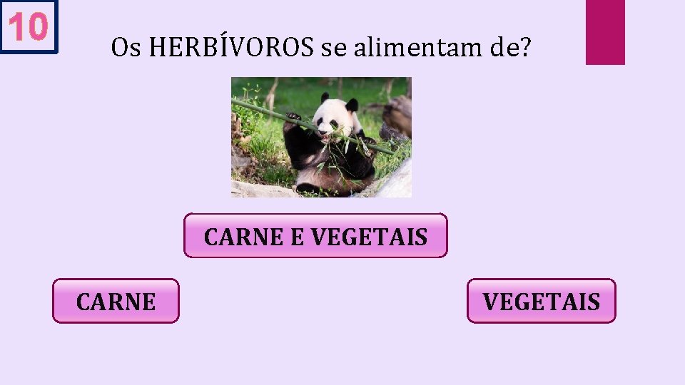 10 Os HERBÍVOROS se alimentam de? CARNE E VEGETAIS CARNE VEGETAIS 