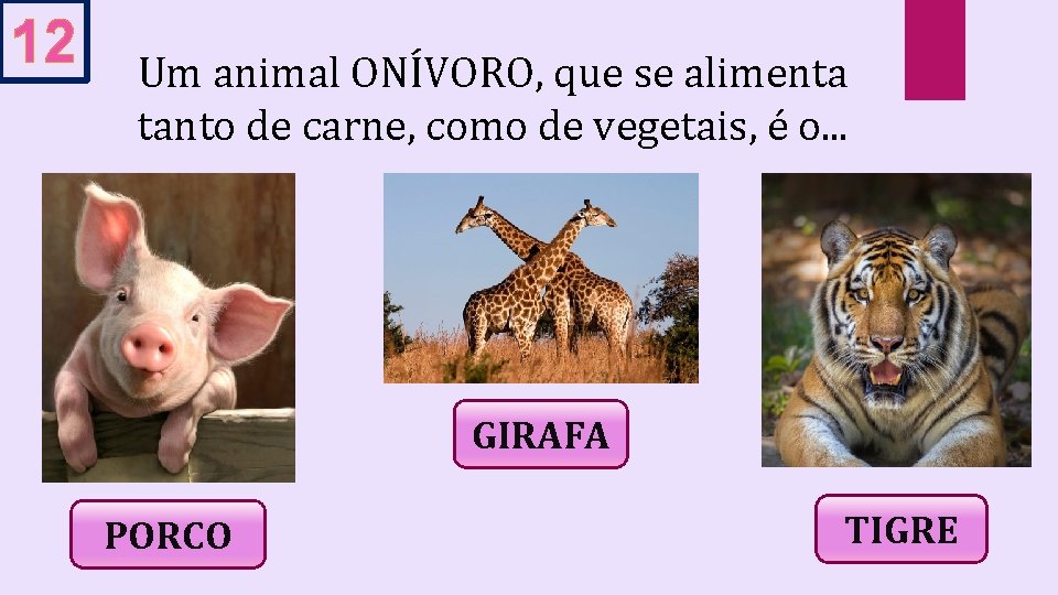 12 Um animal ONÍVORO, que se alimenta tanto de carne, como de vegetais, é