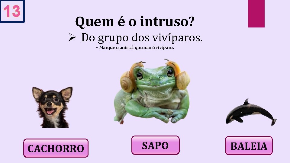 13 Quem é o intruso? Ø Do grupo dos vivíparos. - Marque o animal