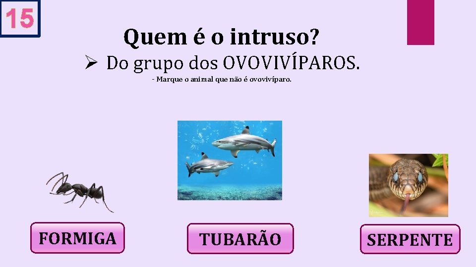 15 Quem é o intruso? Ø Do grupo dos OVOVIVÍPAROS. - Marque o animal