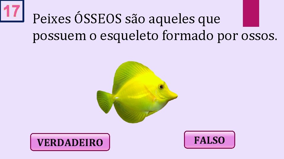 17 Peixes ÓSSEOS são aqueles que possuem o esqueleto formado por ossos. VERDADEIRO FALSO