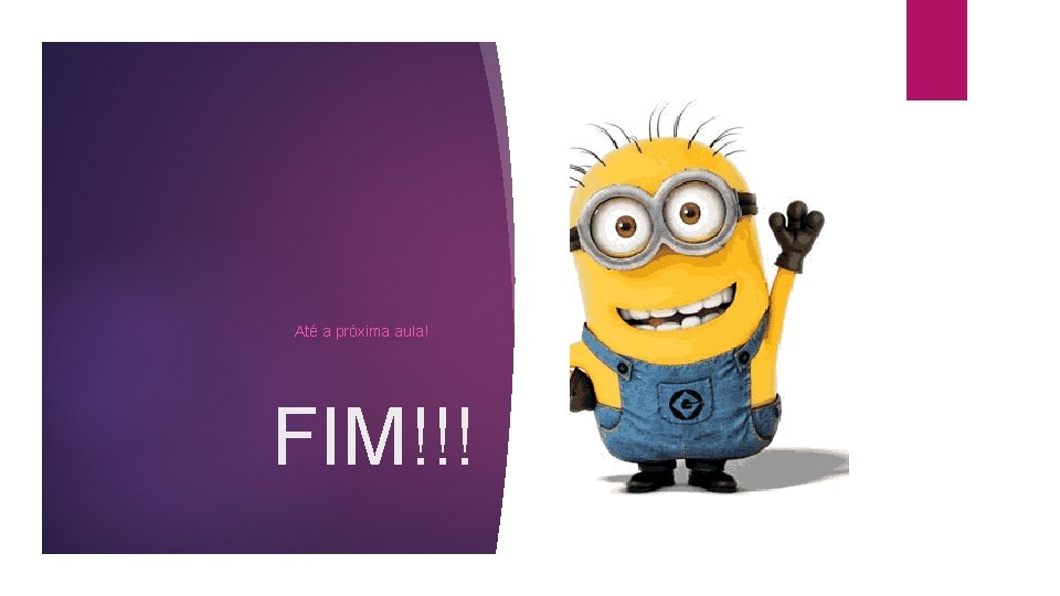 Até a próxima aula! FIM!!! 