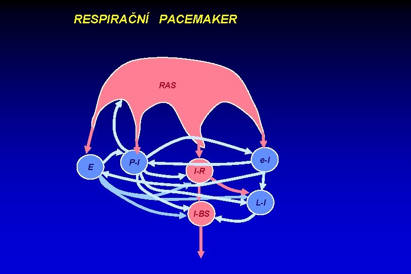 RESPIRAČNÍ PACEMAKER RAS E P-I e-I I-R L-I I-BS 