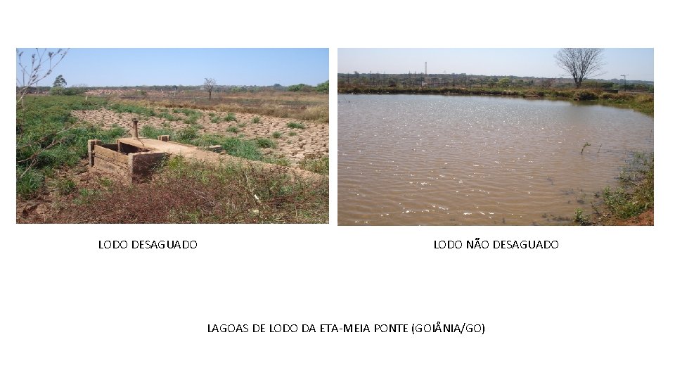 LODO DESAGUADO LODO NÃO DESAGUADO LAGOAS DE LODO DA ETA-MEIA PONTE (GOI NIA/GO) 