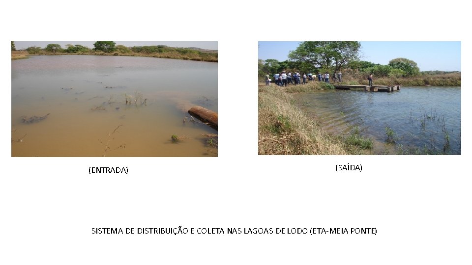 (ENTRADA) (SAÍDA) SISTEMA DE DISTRIBUIÇÃO E COLETA NAS LAGOAS DE LODO (ETA-MEIA PONTE) 