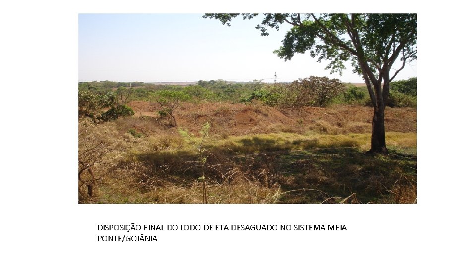 DISPOSIÇÃO FINAL DO LODO DE ETA DESAGUADO NO SISTEMA MEIA PONTE/GOI NIA 