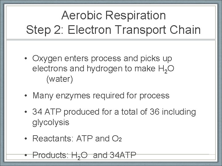 Aerobic Respiration Step 2: Electron Transport Chain • Oxygen enters process and picks up