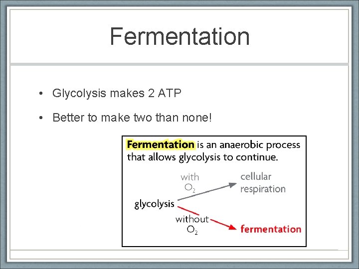 Fermentation • Glycolysis makes 2 ATP • Better to make two than none! 