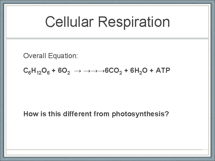 Cellular Respiration Overall Equation: C 6 H 12 O 6 + 6 O 2