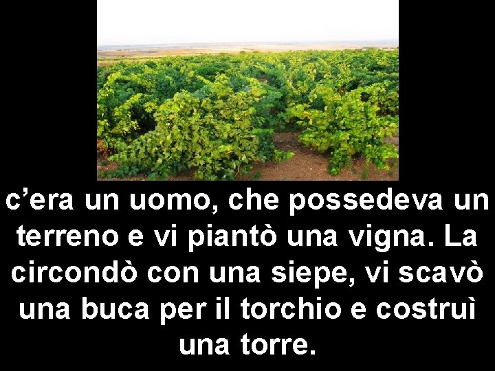 c’era un uomo, che possedeva un terreno e vi piantò una vigna. La circondò