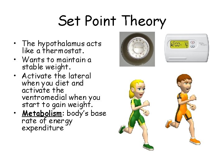Set Point Theory • The hypothalamus acts like a thermostat. • Wants to maintain