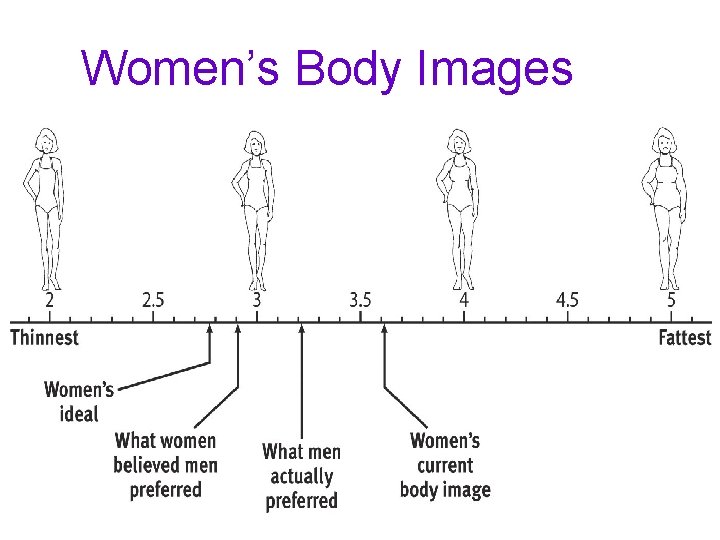 Women’s Body Images 