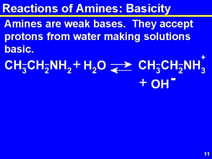 Reactions of Amines: Basicity Amines are weak bases. They accept protons from water making