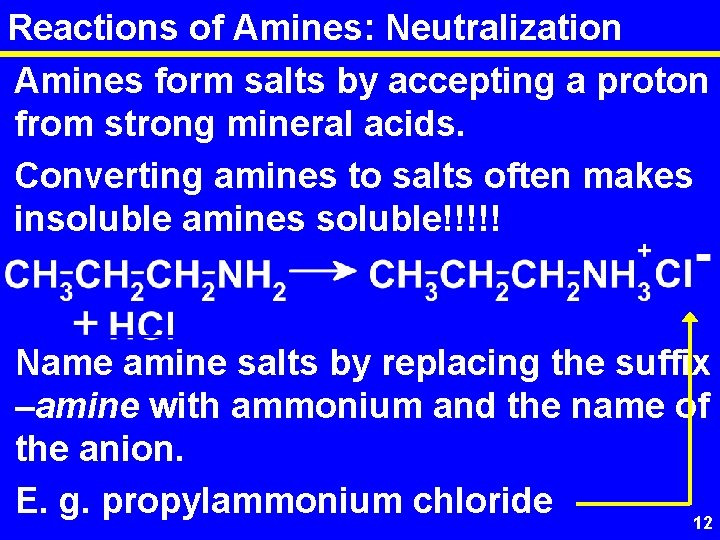 Reactions of Amines: Neutralization Amines form salts by accepting a proton from strong mineral