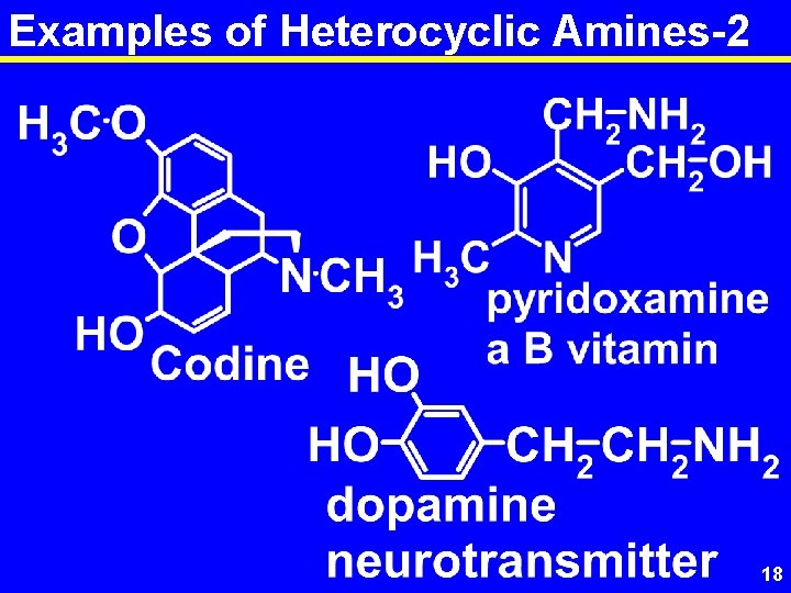 Examples of Heterocyclic Amines-2 18 