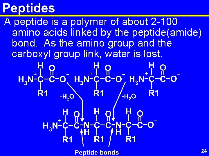 Peptides A peptide is a polymer of about 2 -100 amino acids linked by