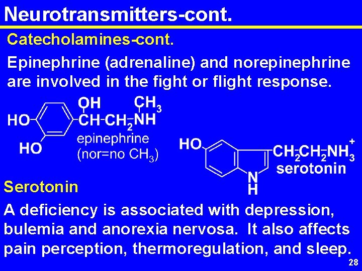 Neurotransmitters-cont. Catecholamines-cont. Epinephrine (adrenaline) and norepinephrine are involved in the fight or flight response.