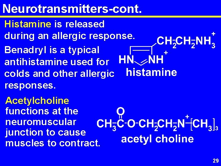 Neurotransmitters-cont. Histamine is released during an allergic response. Benadryl is a typical antihistamine used