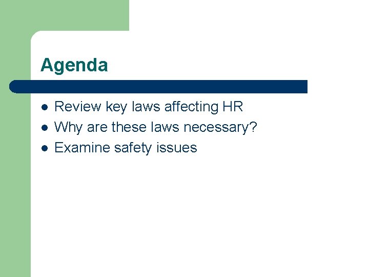 Agenda l l l Review key laws affecting HR Why are these laws necessary?