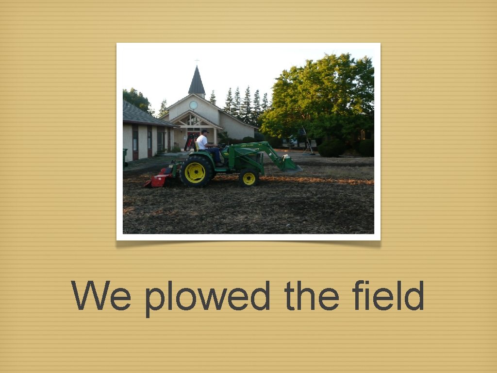 We plowed the field 