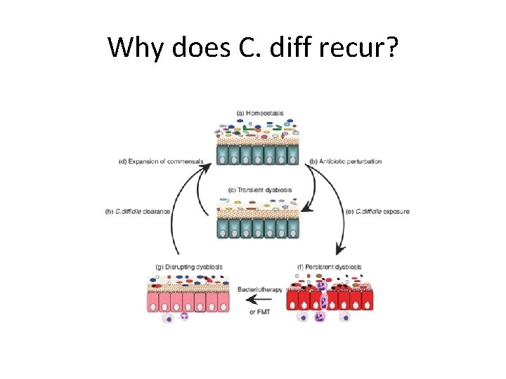 Why does C. diff recur? IPS Liverpool 29 th September 2015 