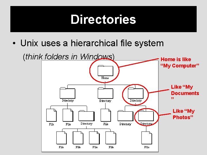 Directories • Unix uses a hierarchical file system (think folders in Windows) Home is