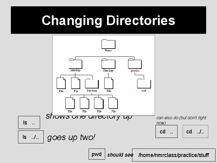 Changing Directories ls. . /. . shows one directory up goes up two! can