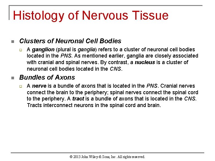 Histology of Nervous Tissue n Clusters of Neuronal Cell Bodies q n A ganglion