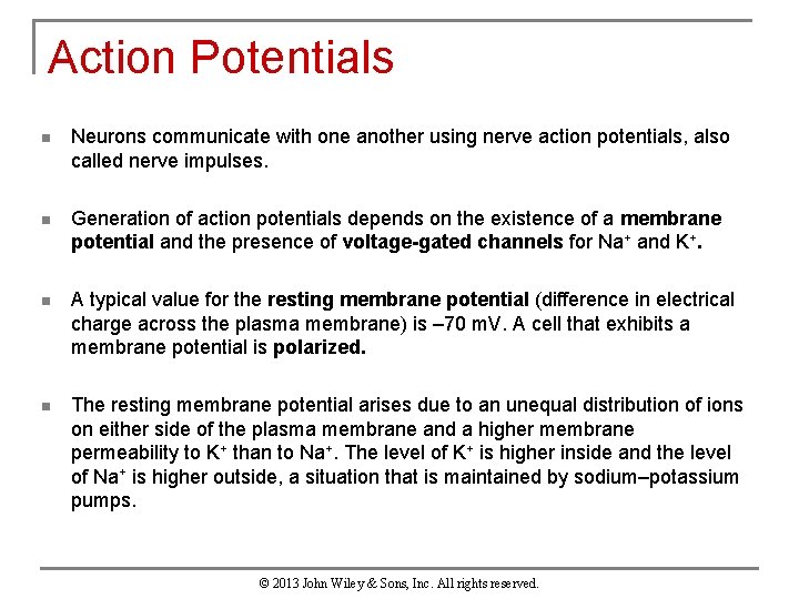 Action Potentials n Neurons communicate with one another using nerve action potentials, also called