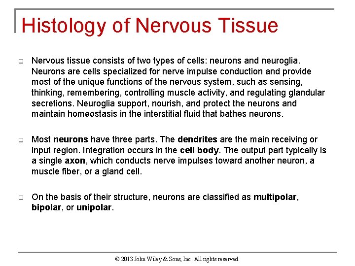 Histology of Nervous Tissue q Nervous tissue consists of two types of cells: neurons